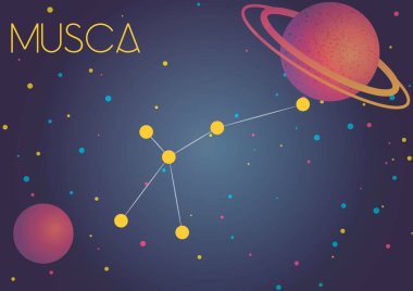 Parlak görüntü takımyıldızı sinek bölgesinde. Astronomi sever misiniz çocuklar çok beğendim.