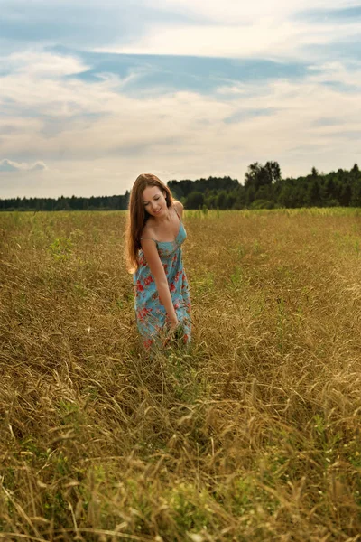 Молодая Женщина Касается Своих Рук Раскидывая Колосья Пшеницы Овощному Полю — стоковое фото