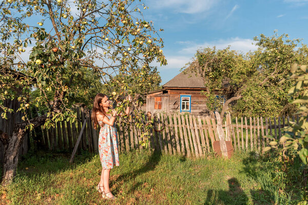 В деревенском саду рядом со старой яблоней и заброшенным деревенским домом в окружении палисадного забора есть молодая девушка в голубом сарафане против спокойного неба
