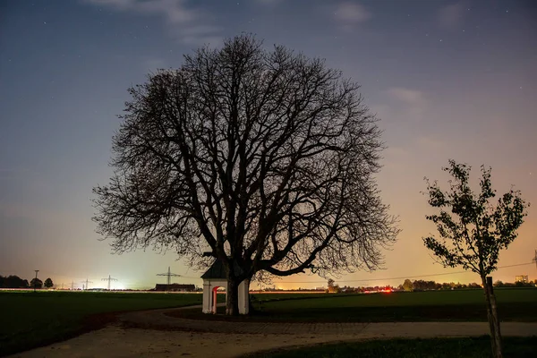 Tree and chapel lit by moon at night with bright lights from nearby towns in the background