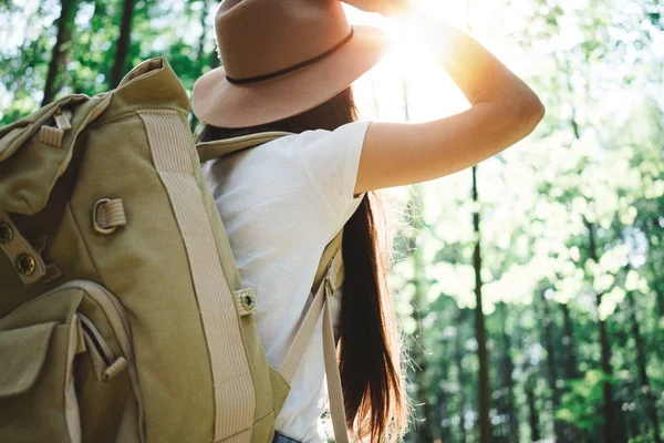 Arkadan Görünüş seyahat sırt çantası ve hippi kız şapka giyiyor. Yalnız ormandaki ağaçlar arasında açık havada üzerinde seyahat cesur kadın. Lens flare etkisi