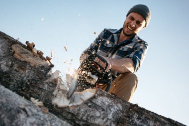 Profesyonel güçlü oduncu iş kereste fabrikası ve büyük ağaç testere ile kesme. Talaş sinek apart 