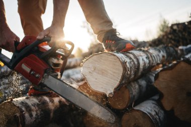 Oduncu elinde testere yakından görmek. Profesyonel oduncu chainsaw kullanarak büyük bir ağaç kesme tezgahlar