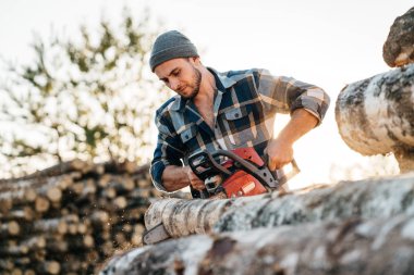 Güçlü profesyonel keresteci kullanım chainsaw kereste fabrikası üzerinde. Büyük ağaç testereleme oduncu