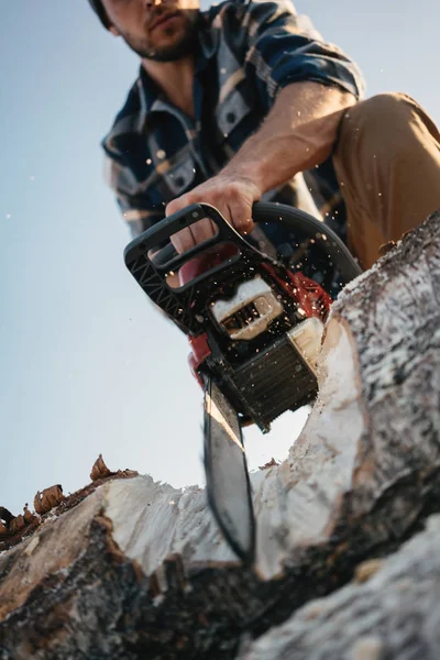 Acımasız oduncu Ağaç Kereste fabrikası üzerinde çalışmak için testere ile kesme ekose gömlek giymiş sakallı. Ahşap talaş sinek ayrı. Dikey