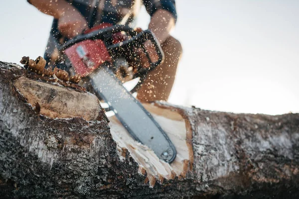 Närbild Syn Stark Hand Skogshuggare Och Motorsåg Professionell Lumberman Sågning — Stockfoto