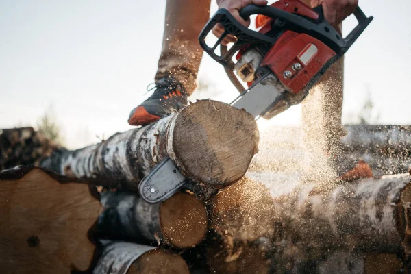 Closeup View Strong Hand Lumberjack Chainsaw Professional Lumberman Sawing Tree — Stock Photo, Image