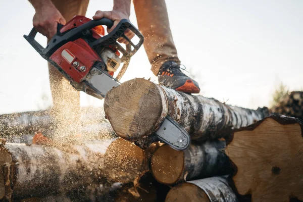 Vista Cerca Motosierra Fuertes Manos Los Trabajadores Madera Serrín Vuela — Foto de Stock