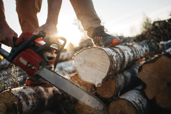 在伐木工人手中的电锯特写 专业伐木工人用电锯锯一棵大树 — 图库照片