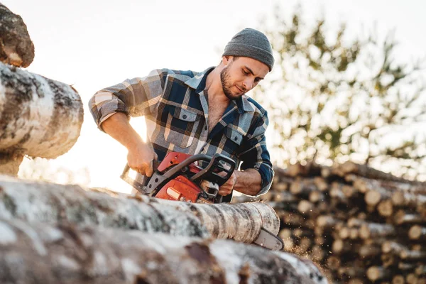 Acımasız oduncu Ağaç Kereste fabrikası üzerinde çalışmak için testere ile kesme ekose gömlek giymiş sakallı. Ahşap talaş sinek apart