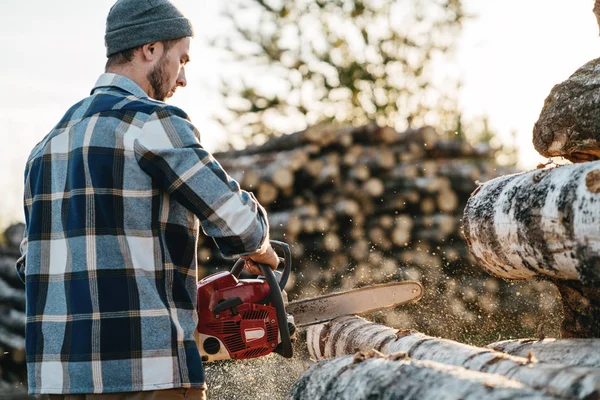 Güçlü oduncu testere ile ağaç testereleme ekose gömlekli sakallı