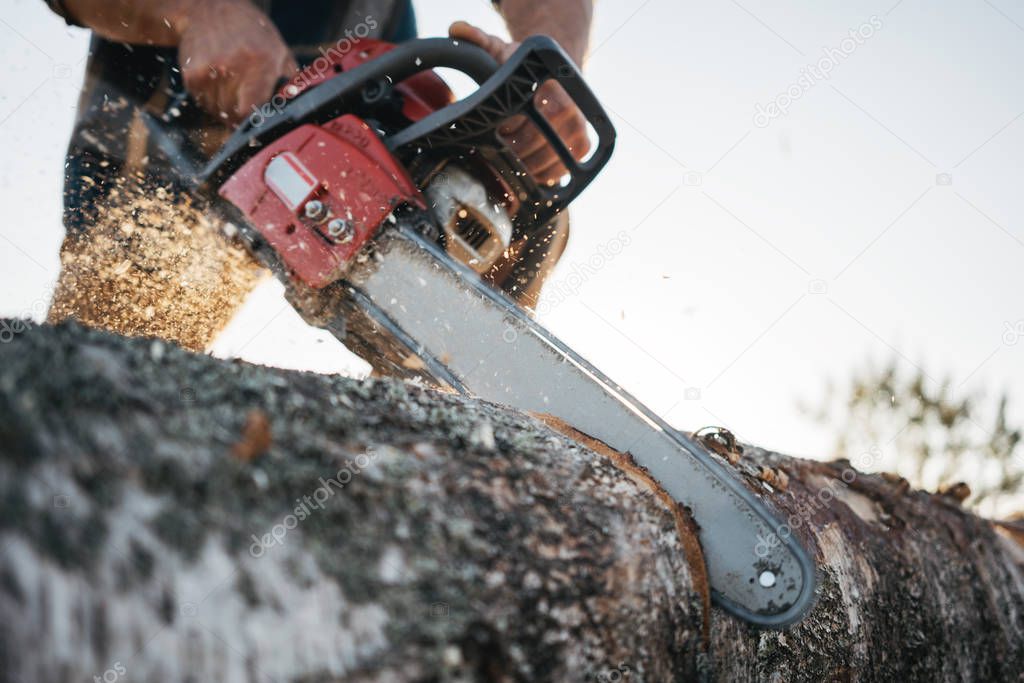 Close-up view on chainsaw in lumberjack hands. Professional lumberjack sawing a big tree using chainsaw