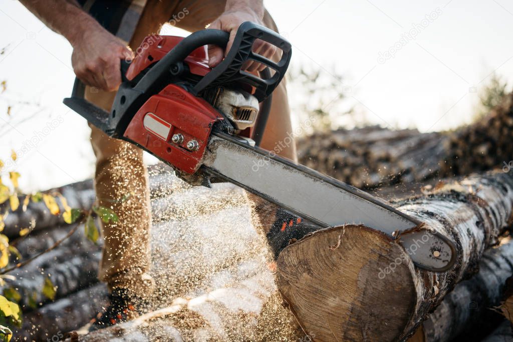 Professional lumberman sawing trees on sawmill. Close-up view on chainsaw in hands