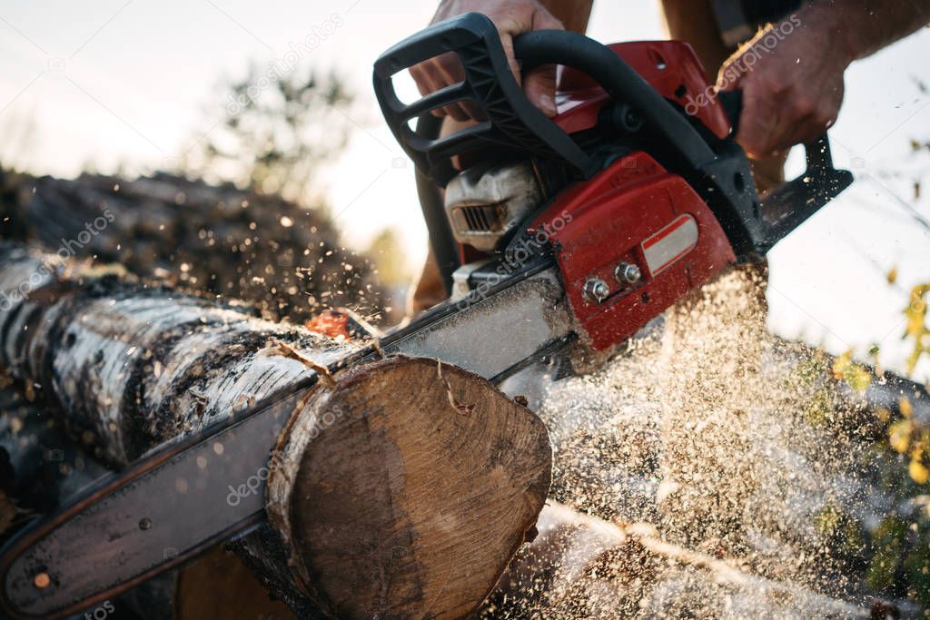 Close up view on strong lumberjack sawing tree with chainsaw for work on sawmill. Sawdust fly apart