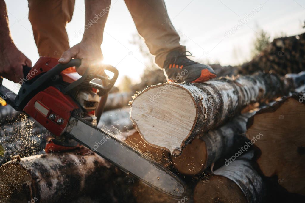 Close-up view on chainsaw in lumberjack hands. Professional lumberjack sawing a big tree using chainsaw
