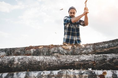 Profesyonel güçlü oduncu kereste fabrikası ve balta ile büyük ağaç testereleme üzerinde çalışıyorum. Ahşap yongaları sinek apart