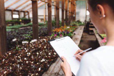 Profesyonel kadın bahçıvan serada çalışıyor. Bahçe sera iç çiçekçi