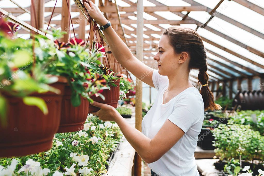 Professional woman gardener working in greenhouse. Florist inside garden greenhouse interior