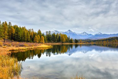 İlk kar göl kenarında. Renkli sonbahar manzara.