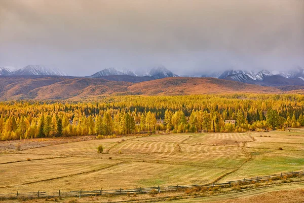 Paisaje de otoño. Belleza de la naturaleza concepto fondo . — Foto de Stock