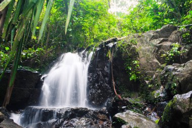 Ton Sai şelale, orman, Island Phuket Tayland, gitmek zorunda seyahat