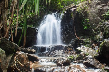 Phuket Tayland ormandaki Ton Sai şelale. Tropikal bölge, üst turistik yerler.
