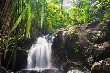 Phuket Tayland ormandaki Ton Sai şelale. Tropikal bölge, üst turistik yerler.