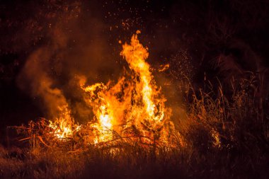 Şenlik ateşi bulanıklık siluet siyah arka plan kırmızı ışık kullanımı çalışma yaratıcı
