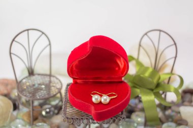 Altın küpe spearls inci, denize sıfır. doğal elmas bir taze, rahat kavramı ile gümüş takılar. En az stili.