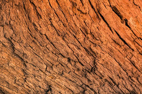 Каменный Фон Острова Пхукет Таиланде Тропическая Зона — стоковое фото