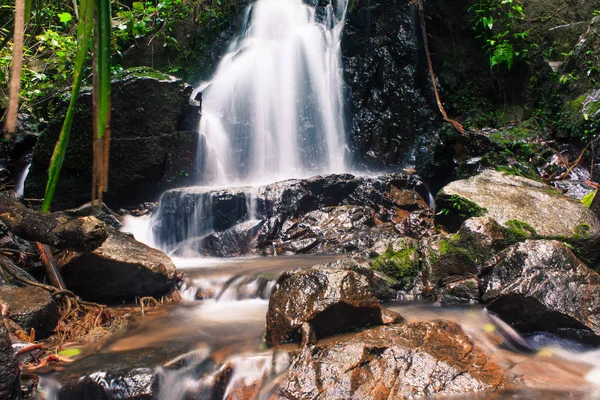 Ton Sai şelale, orman, Phuket Island, Tayland