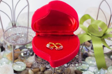 Doğal elmas bir taze, rahat kavramı ile gümüş takılar altın elmas küpe. En az stili.