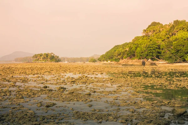 Nai Yang Beach Phuket Tayland gece okyanus manzarası