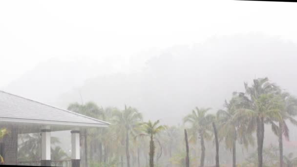 Filmati Pioggia, tempesta, forte vento che soffia a Phuket, Thailandia — Video Stock