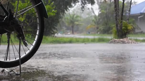 Filmagem Chuva, tempestade, vento forte soprando em Phuket, Tailândia — Vídeo de Stock