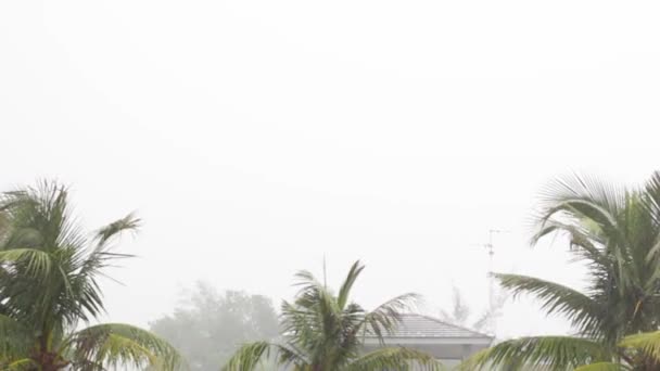 Film regen, Storm, sterke wind waait in Phuket, Thailand — Stockvideo