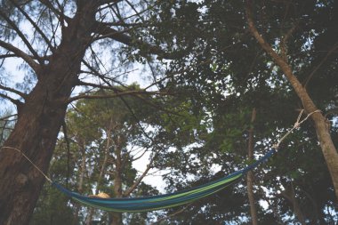 Bir palmiye ağacı günbatımı parıltısı üzerinde Hamak güneş deniz okyanus gökyüzü kıyı kum, muz sahilde Kahverengi şapka. doku Doğa arka plan yaratıcı tropikal düzeni phuket Tayland yapılan.