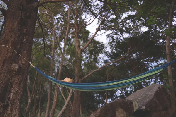 Tempat Tidur Gantung Pohon Palem Matahari Terbenam Silau Matahari Laut — Stok Foto