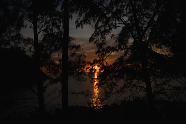 Tramonto Buio Sulla Spiaggia Banane Sono Texture Natura Sfondo Creativo — Foto Stock