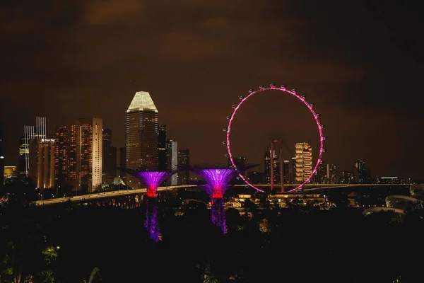 Singapore J15 September 2019 Promenade Supertree Grove Garden Bay Singapore — Stockfoto