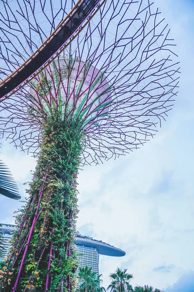 Singapore J15 September 2019 Promenade Supertree Grove Garden Bay Singapore — Stockfoto