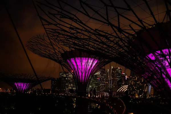 Singapore J15 September 2019 Promenade Supertree Grove Garden Bay Singapore — Stockfoto