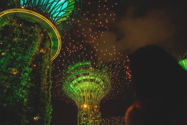 シンガポール J15 9月2019 夏の夜にマリーナベイサンズホテルの近くのシンガポールの湾によるガーデンズのスーパーツリーグローブでのウォークウェイ — ストック写真