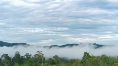 Narathiwat Dağı 'ndaki sabah dağlarını sis ve bulutlar kapladı. Tayland saatine göre 4k..