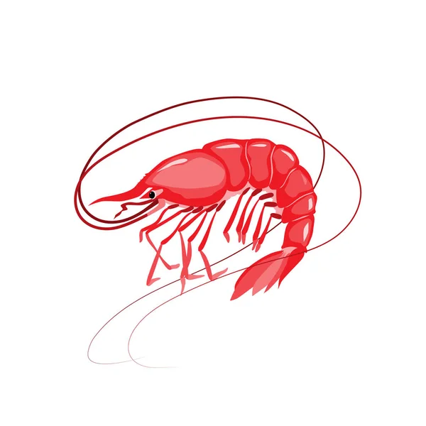 Ilustración Vectores Camarones Objeto Aislado Sobre Fondo Blanco Producto Mariscos — Vector de stock