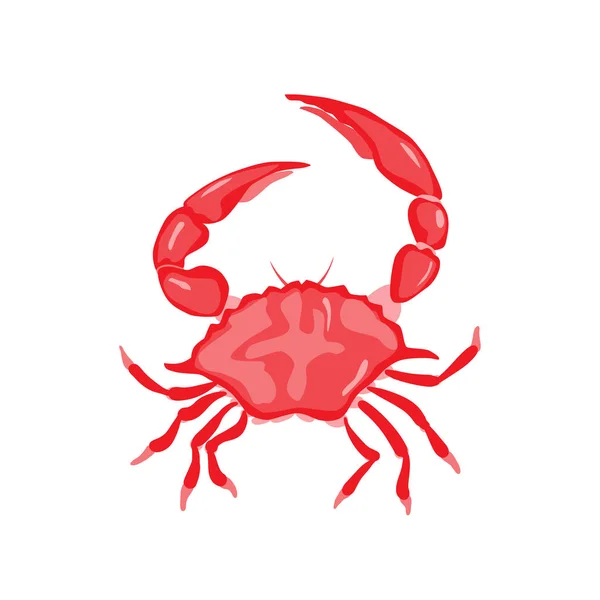 赤いカニのベクトル図です 白い背景の上の孤立したオブジェクト 魚介類製品は レストランのメニュー 手描き絵 — ストックベクタ