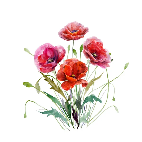 Букет Маковых Цветов Ручной Рисунок Акварелью Великолепные Красные Цвета Цветочные — стоковое фото