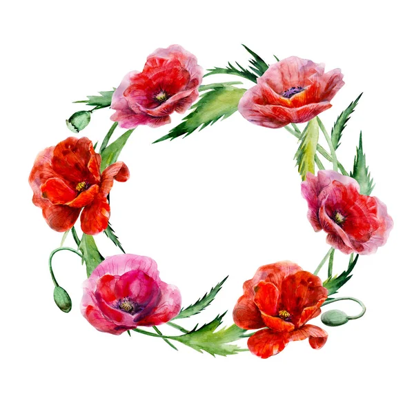 Mohnblumenkranz Handgezeichnete Aquarell Illustration Runde Form Rote Farben Florale Elemente — Stockfoto