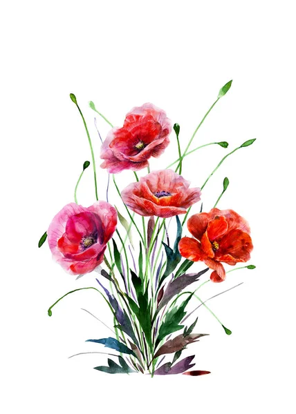 Strauß Von Mohnblumen Handgezeichnete Aquarell Illustration Vier Rote Farben Blumen — Stockfoto