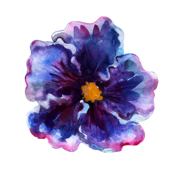 Watercolor Illustration Hibiscus Hand Drawn Tropical Flower Isolated Object White — Stock Photo, Image
